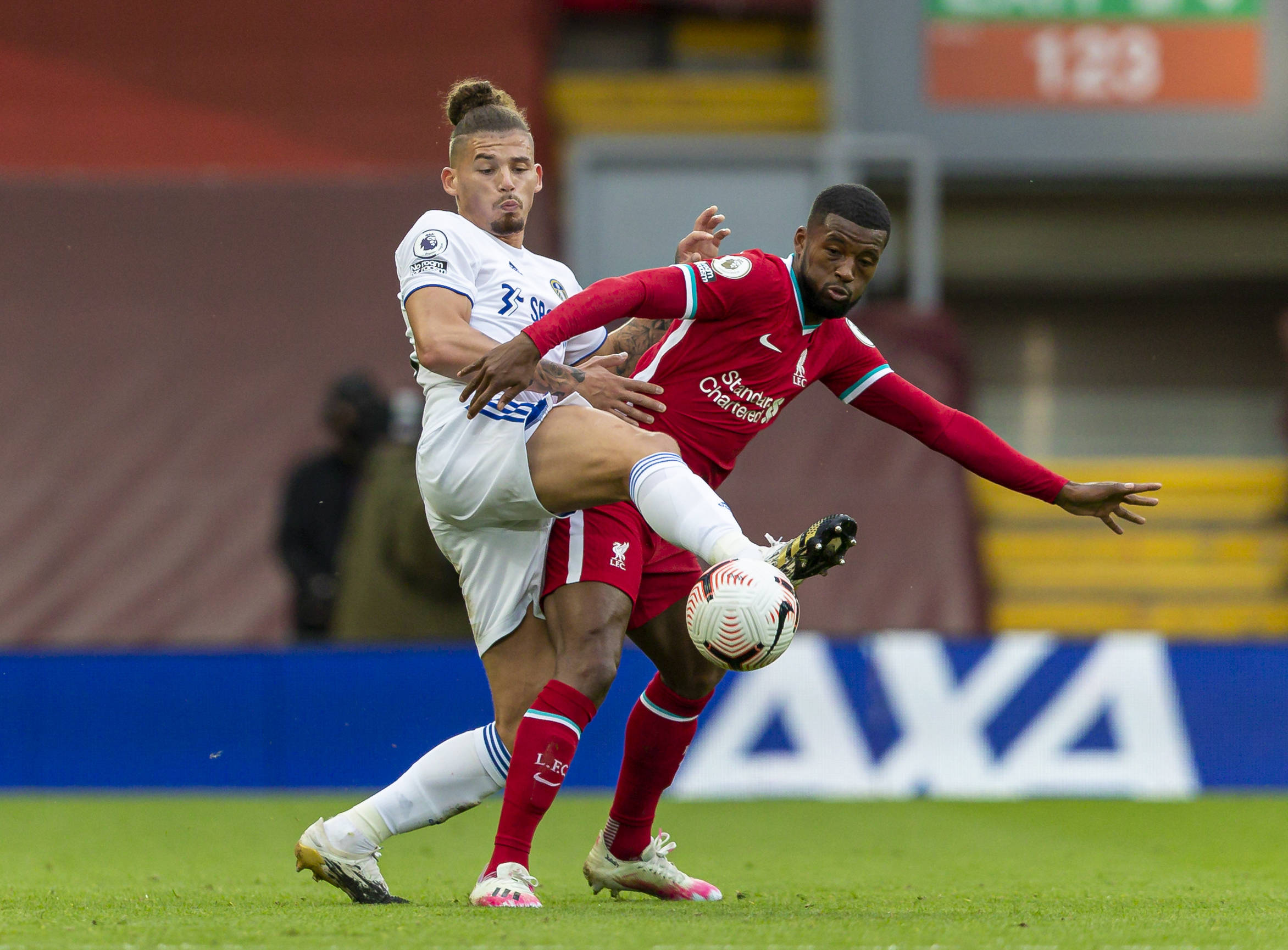 騎士破解綠 騎士破解綠